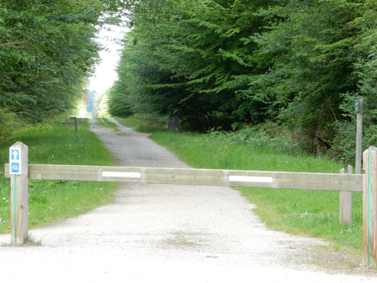 Entre Loire Et Cher Grand Gite "Cote Tilleul" Tour-en-Sologne ภายนอก รูปภาพ